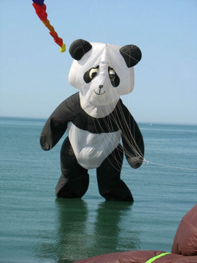 %_tempFileNamefestival-cerf-volant-insolite-pandas-885598%